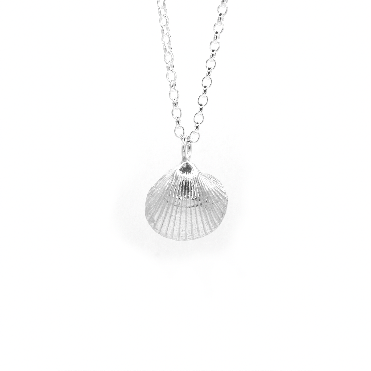 Low Newton Shell Necklace