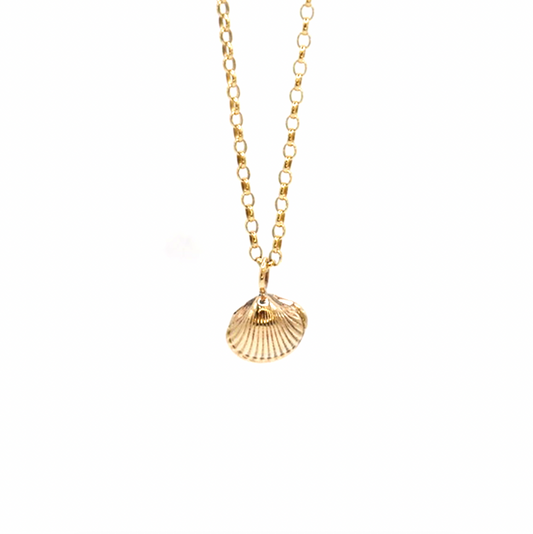 Alnmouth Mini Shell Necklace, Gold