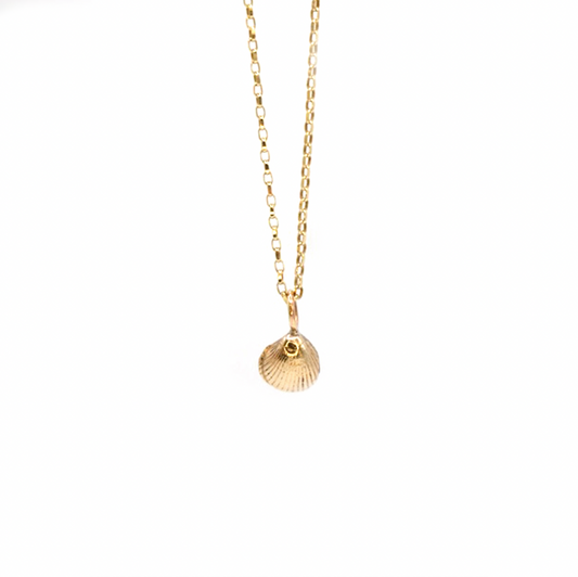 Amble Mini Shell Necklace, Gold