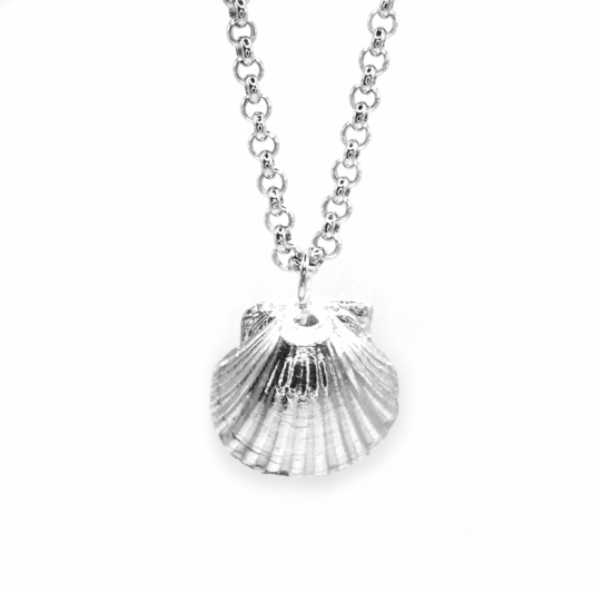 Limited Edition Maxi Alnmouth Shell Necklace